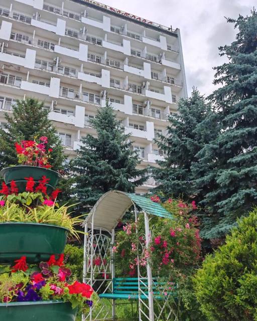 Цветочная арка у корпуса санатория «Дубрава» — фото 12